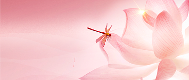 大暑时节公众号首图背景