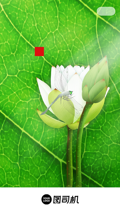 处暑传统节气创意启动页手机海报背景