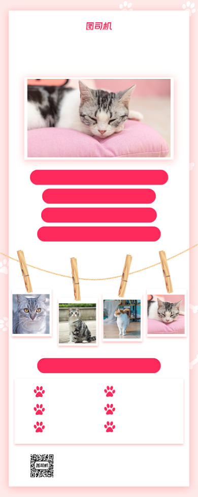 宠物手册宣传手机海报背景