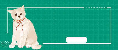 绿色简约风猫咪沙雕坐姿图鉴公众号首图背景