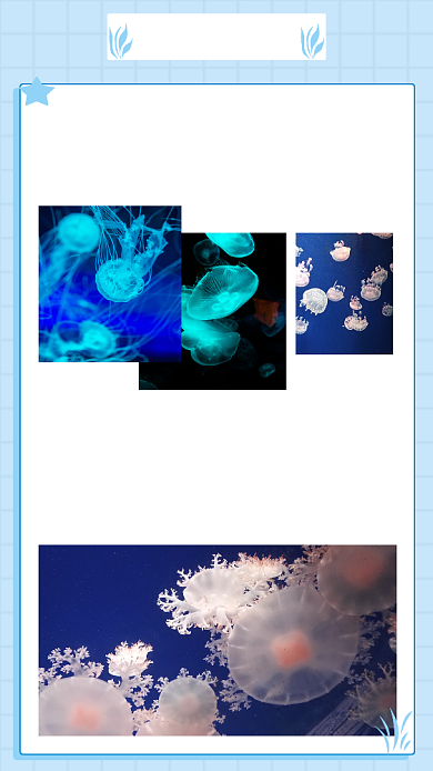 文艺清新海底世界文章配图背景