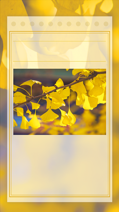 银杏树摄影日签清新简约手机海报背景