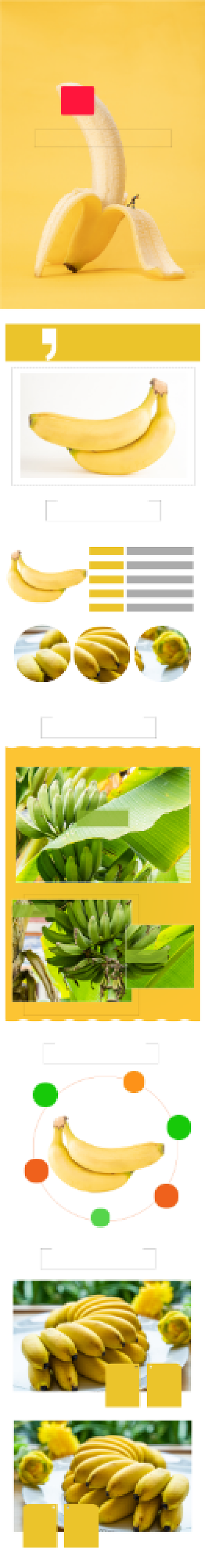 生鲜水果新鲜健康生态香蕉详情页背景