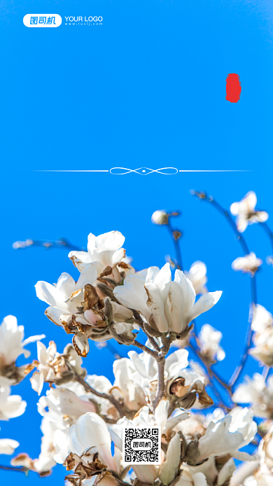 玉兰花花卉写实手机海报背景
