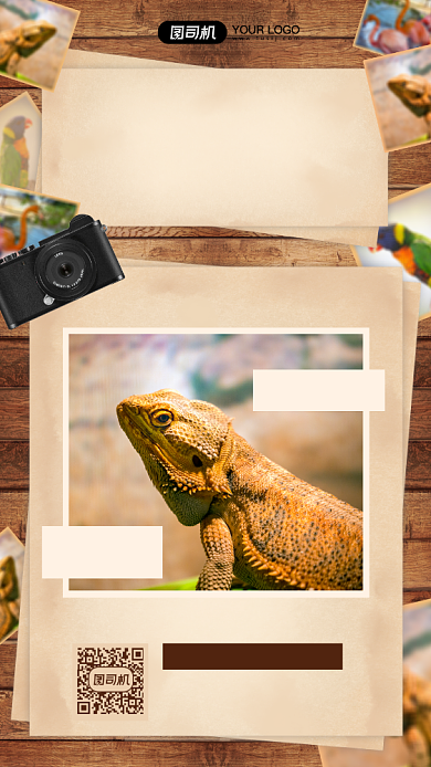 动物园周末游摄影图手机海报背景