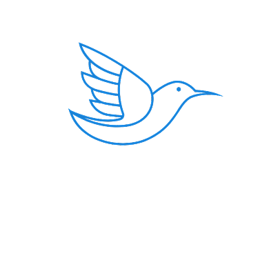 科技网络鸟标志LOGO背景