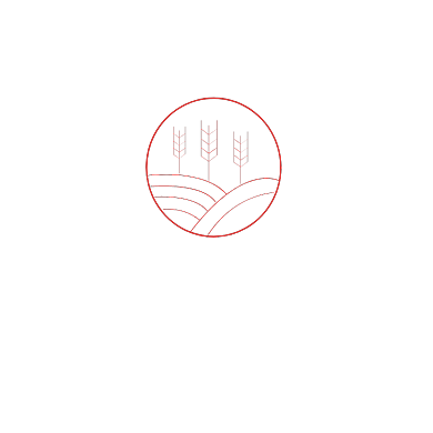 农业公司标志麦田LOGO背景