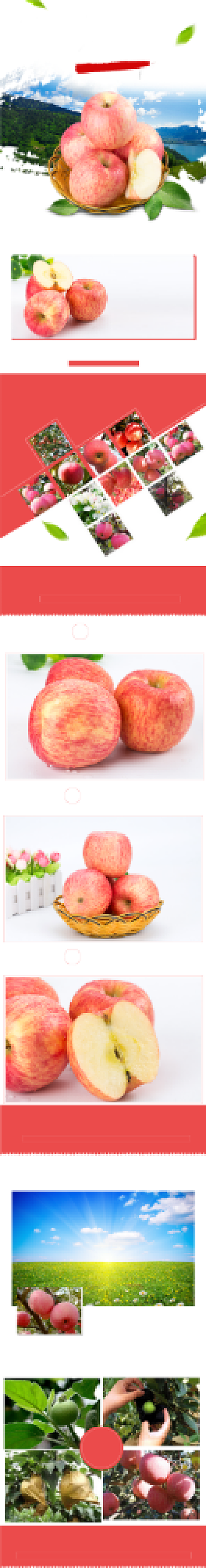 水果苹果简约大气详情页背景