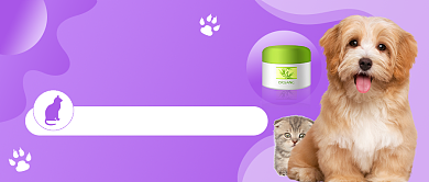萌宠生活馆猫咪公众号首图背景