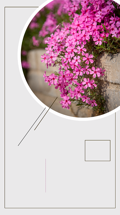 日签早安心情日记手机海报背景