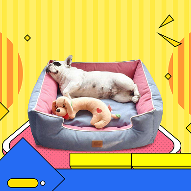 宠物用品狗窝主图直通车卡通主图背景