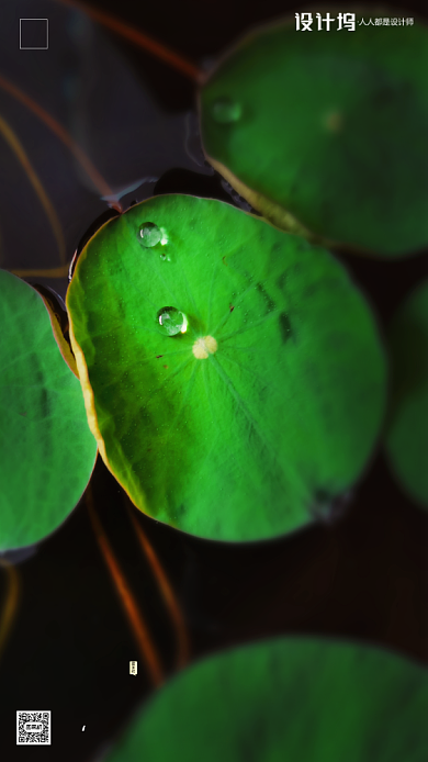 房地产传统节气白露手机海报背景