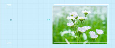 早安你好文章配图背景