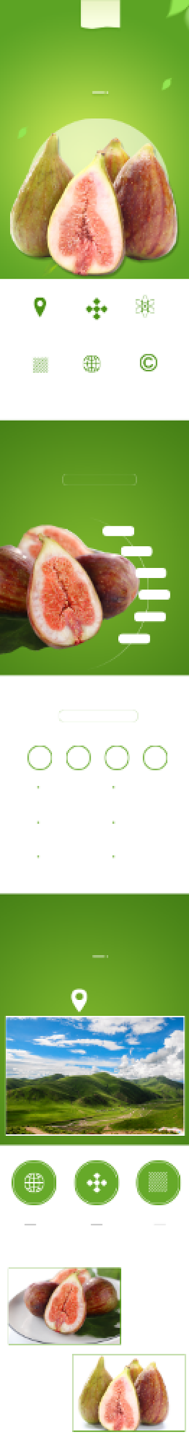 无花果水果食品详情页背景