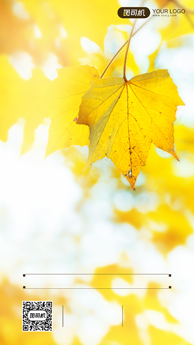 早安签到日签文艺清新摄影图手机海报背景