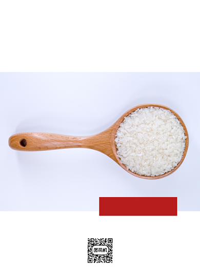 光盘行动简约创意公益活动印刷海报背景