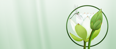 大暑传统节气简约清新公众号首图背景