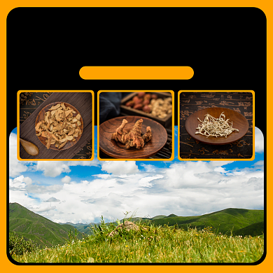 原产地中药淘宝主图直通车模板背景