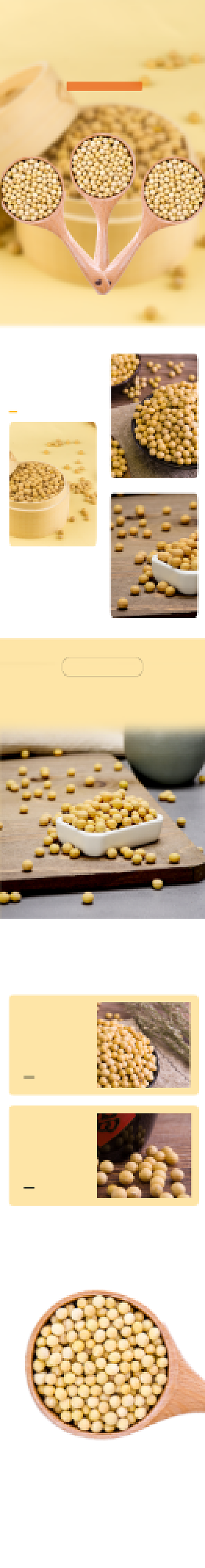 黄豆有机豆子农产品粮食详情页背景