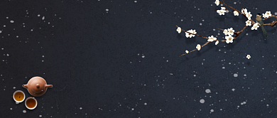 大雪节气传统节气梅花公众号首图背景