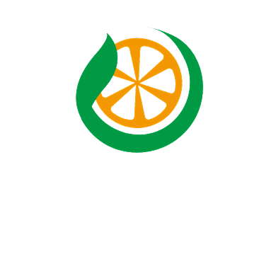 新鲜水果橙子LOGO背景