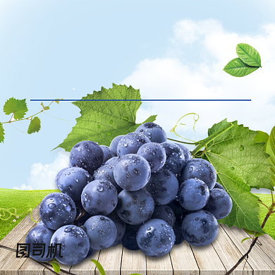 夏日清新水果葡萄主图直通车背景