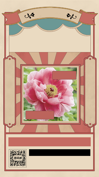 花店回馈牡丹花宣传摄影图手机海报背景