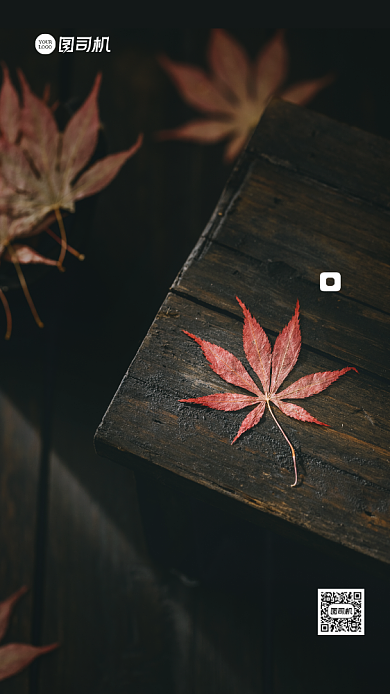 月签日签手机海报背景