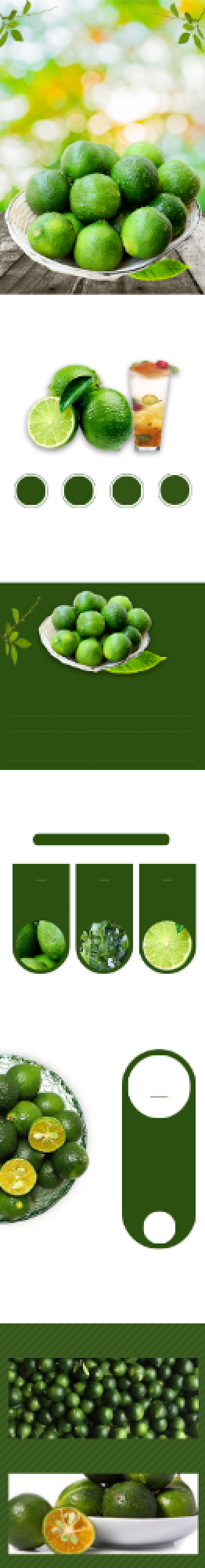 青金桔详情页电商时尚简约大气绿色营养背景