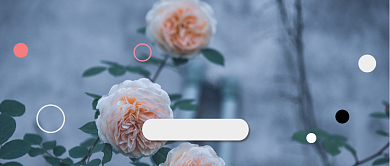 小清新文艺鲜花主题公众号封面背景