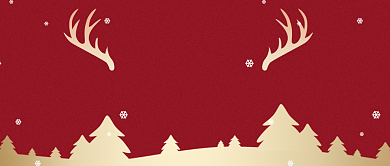 圣诞节等你来嗨红金大气公众号首图背景