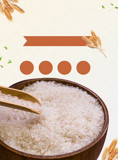 东北大米冬季促销印刷海报背景