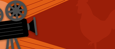 金鸡影展获奖影片公众号封面首图背景