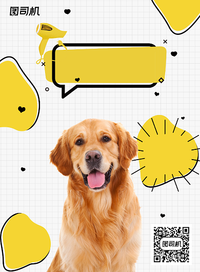 宠物白黄色时尚可爱美容促销海报背景