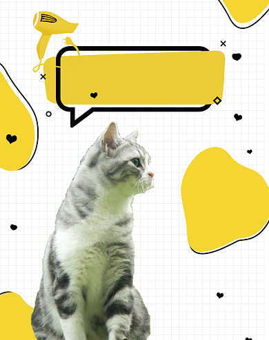 双12宠物萌宠特惠狂欢大促海报背景