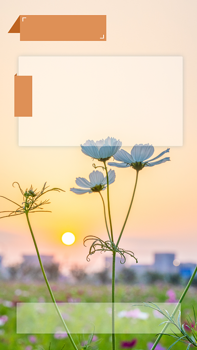 早安你好小清新文章配图背景