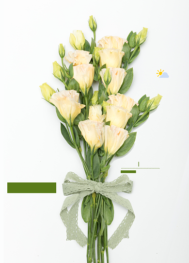 感官先生文艺清新桔梗花束背景