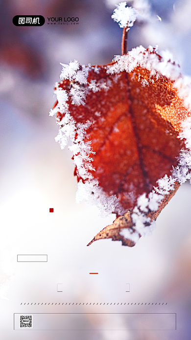 大雪节气简约摄影图宣传手机海报背景
