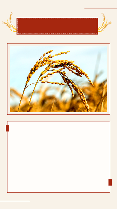 珍惜粮食光盘行动简约文章配图背景