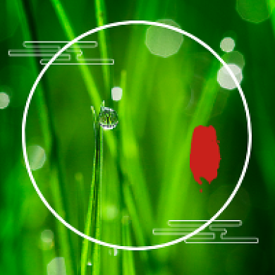 白露节气绿色清新公众号次图背景