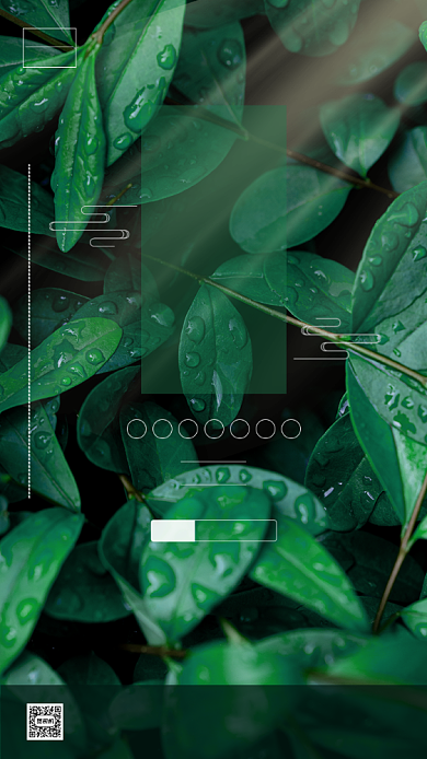 传统节气之大暑时节背景