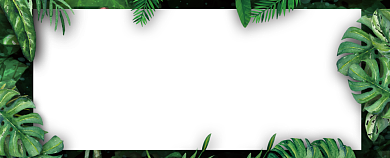 小清新植物女装店花店代金券优惠券背景