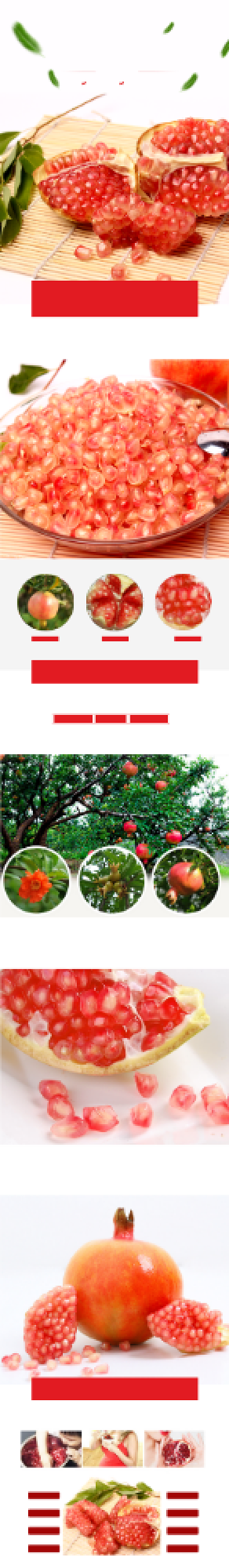 淘宝新鲜秋上新石榴水果详情页背景