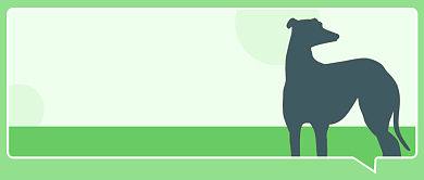 最美狗狗排行榜公众号首图背景