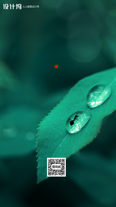 传统节气白露手机海报背景