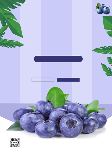 新鲜有机蓝莓水果海报背景