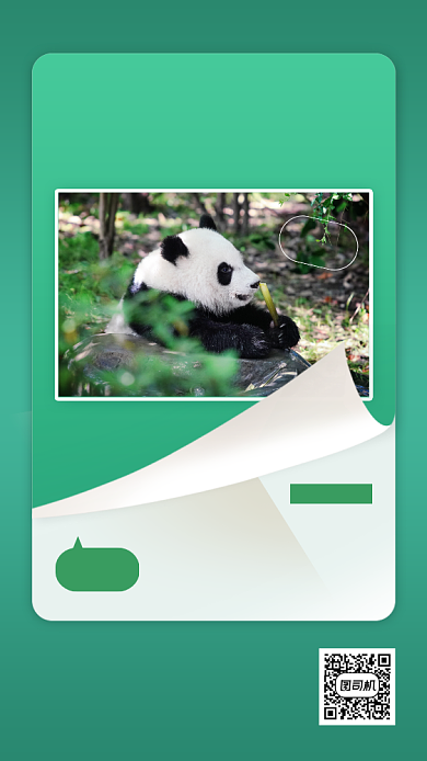 大熊猫基地景点宣传手机海报背景