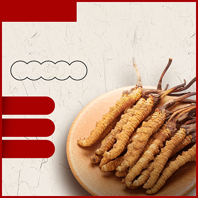 重阳节主图滋补保健品电商主图背景