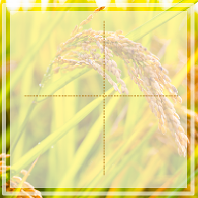 秋分养生公众号次图背景