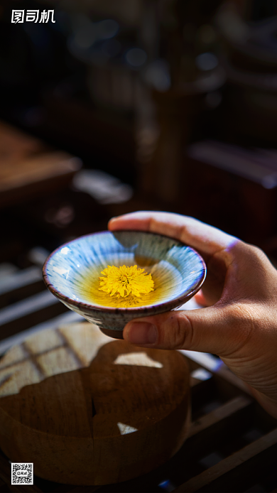 九月九重阳节菊花茶简约手机海报背景